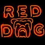 Red Dog Tavern Peterborough live music event listings directory